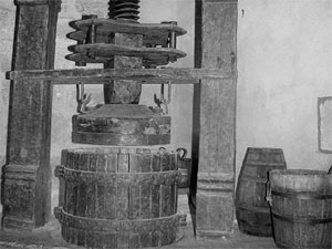 Click here for more Photos