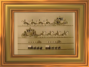 Click here for more Photos